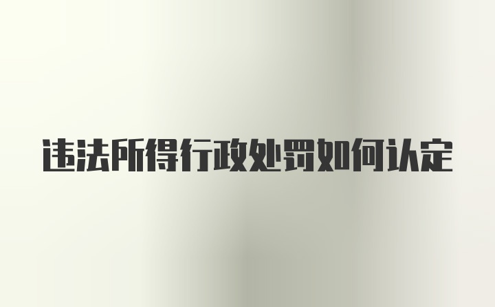 违法所得行政处罚如何认定