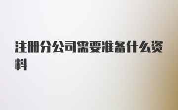 注册分公司需要准备什么资料