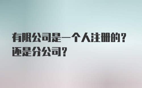 有限公司是一个人注册的？还是分公司？