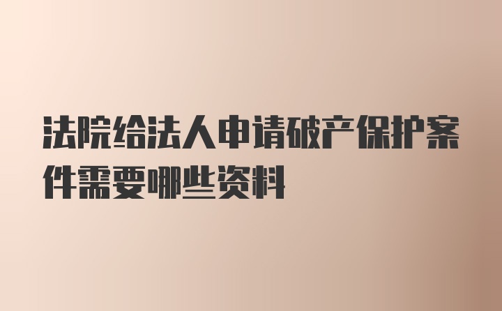 法院给法人申请破产保护案件需要哪些资料