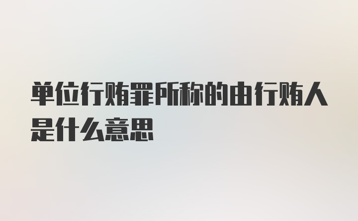 单位行贿罪所称的由行贿人是什么意思