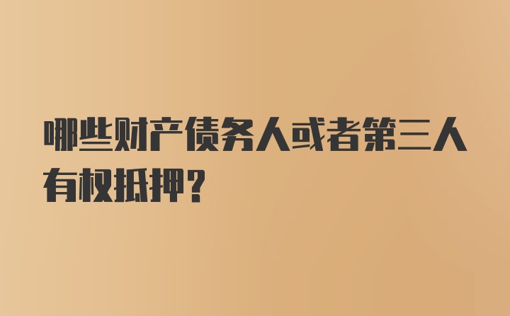 哪些财产债务人或者第三人有权抵押?