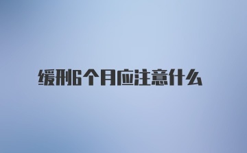 缓刑6个月应注意什么