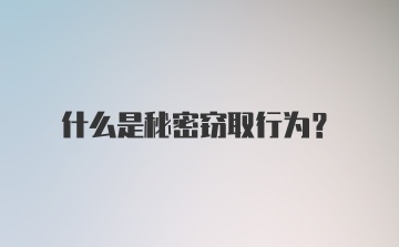 什么是秘密窃取行为？