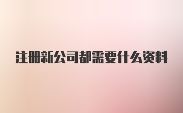 注册新公司都需要什么资料