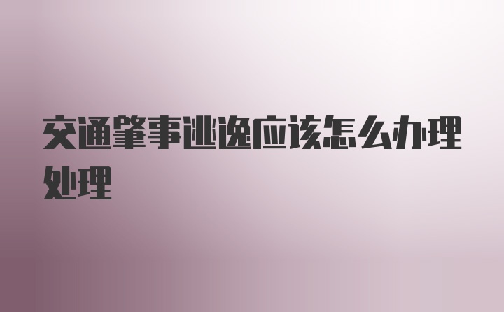 交通肇事逃逸应该怎么办理处理