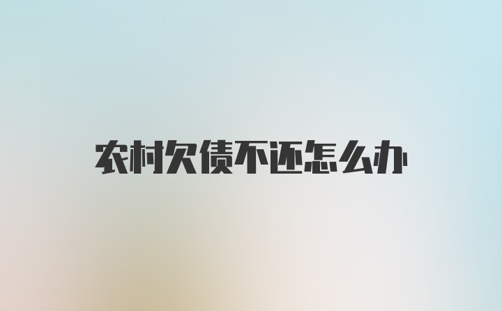 农村欠债不还怎么办