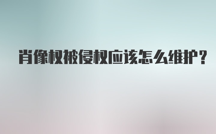 肖像权被侵权应该怎么维护？