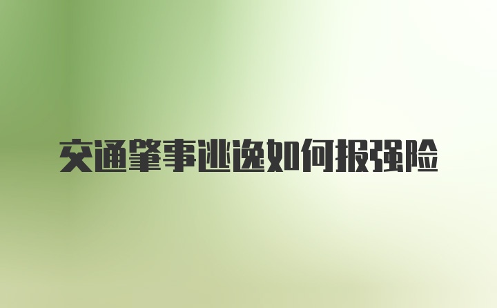 交通肇事逃逸如何报强险