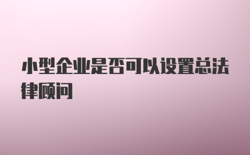 小型企业是否可以设置总法律顾问