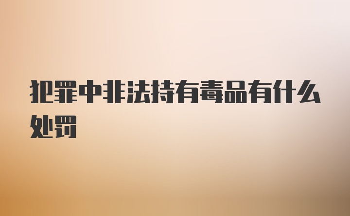 犯罪中非法持有毒品有什么处罚