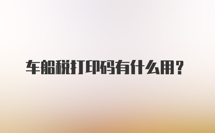 车船税打印码有什么用？