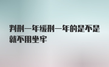 判刑一年缓刑一年的是不是就不用坐牢