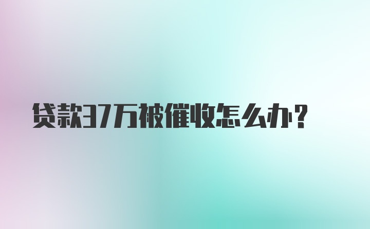 贷款37万被催收怎么办？