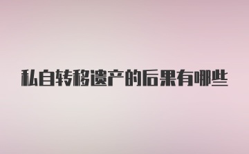 私自转移遗产的后果有哪些