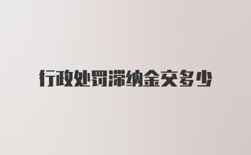 行政处罚滞纳金交多少