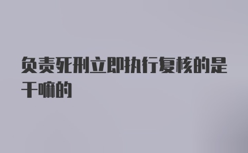 负责死刑立即执行复核的是干嘛的