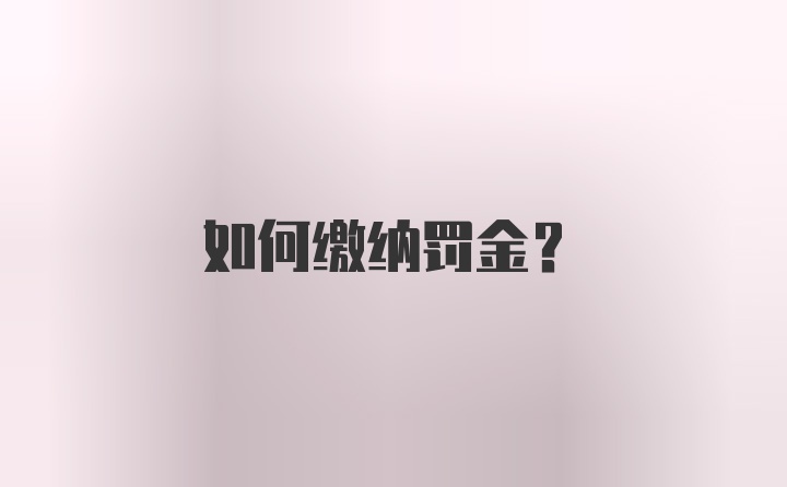 如何缴纳罚金？