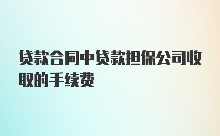 贷款合同中贷款担保公司收取的手续费