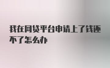 我在网贷平台申请上了钱还不了怎么办