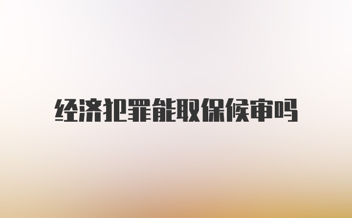 经济犯罪能取保候审吗