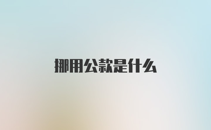 挪用公款是什么