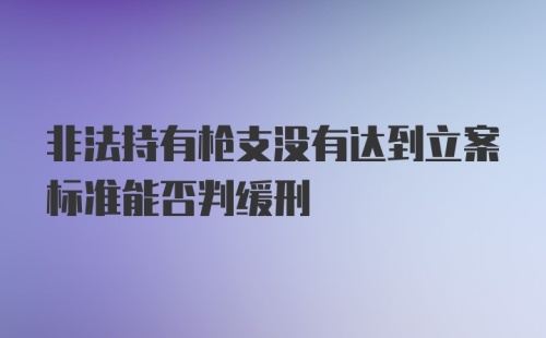 非法持有枪支没有达到立案标准能否判缓刑