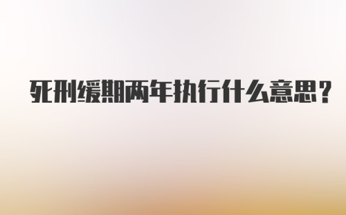 死刑缓期两年执行什么意思？