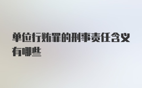 单位行贿罪的刑事责任含义有哪些