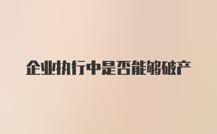 企业执行中是否能够破产