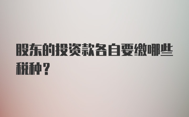 股东的投资款各自要缴哪些税种？