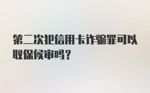 第二次犯信用卡诈骗罪可以取保候审吗？