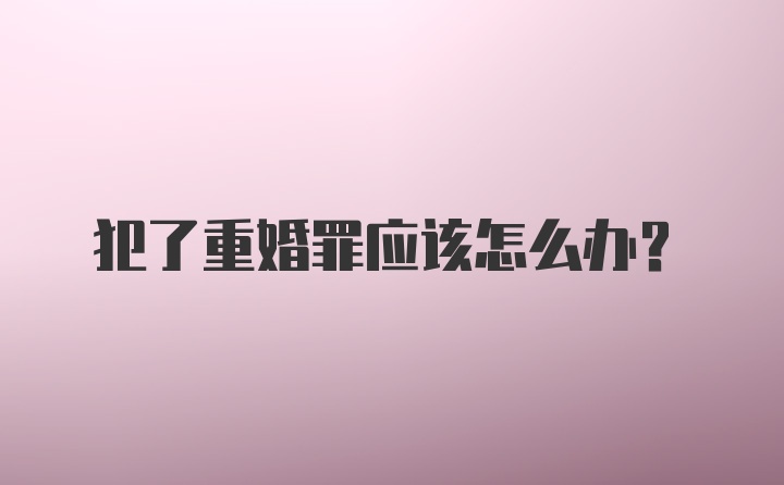 犯了重婚罪应该怎么办？