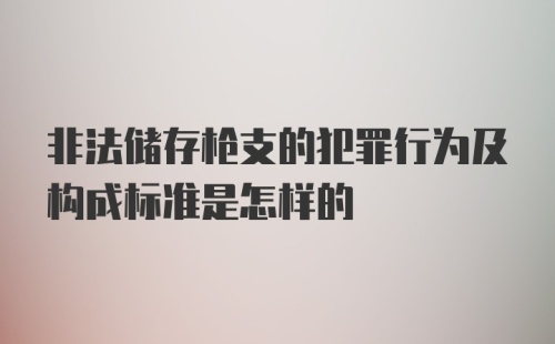 非法储存枪支的犯罪行为及构成标准是怎样的