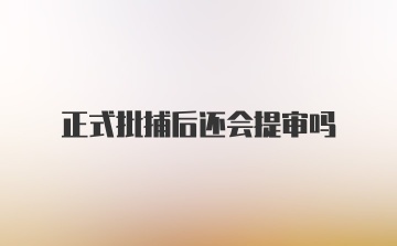 正式批捕后还会提审吗