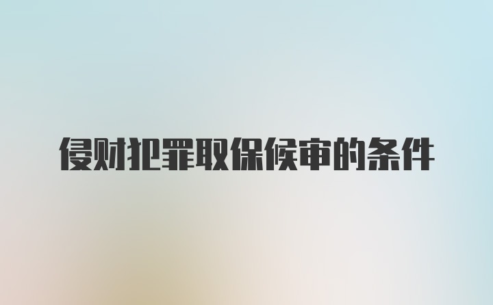 侵财犯罪取保候审的条件