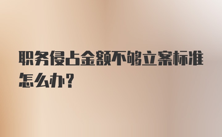 职务侵占金额不够立案标准怎么办？