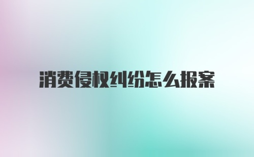 消费侵权纠纷怎么报案