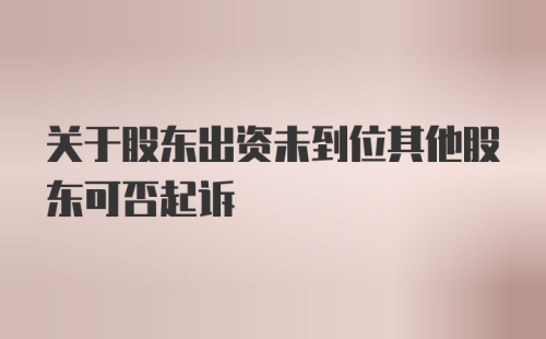 关于股东出资未到位其他股东可否起诉