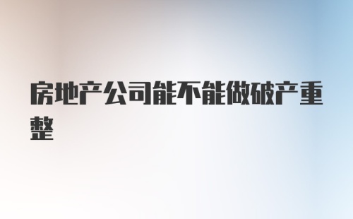 房地产公司能不能做破产重整