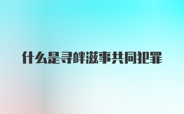 什么是寻衅滋事共同犯罪