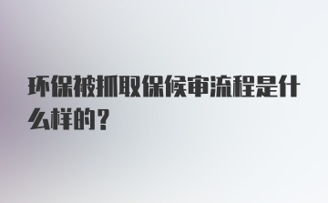 环保被抓取保候审流程是什么样的？