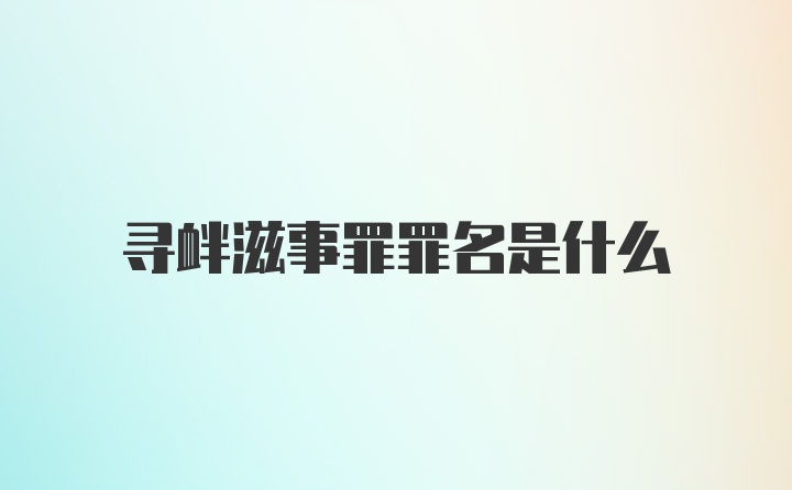 寻衅滋事罪罪名是什么