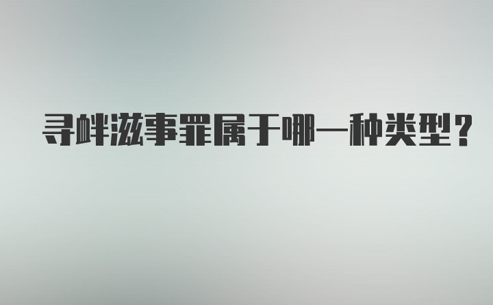 寻衅滋事罪属于哪一种类型？