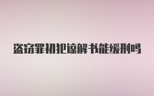 盗窃罪初犯谅解书能缓刑吗