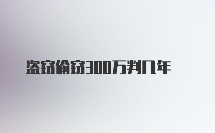 盗窃偷窃300万判几年