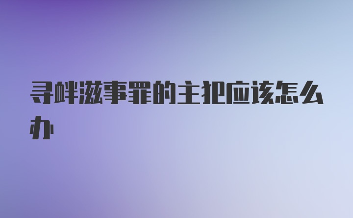 寻衅滋事罪的主犯应该怎么办