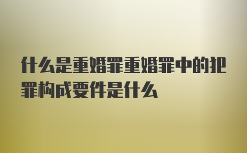 什么是重婚罪重婚罪中的犯罪构成要件是什么