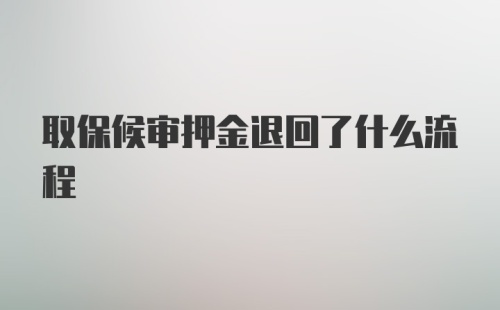 取保候审押金退回了什么流程