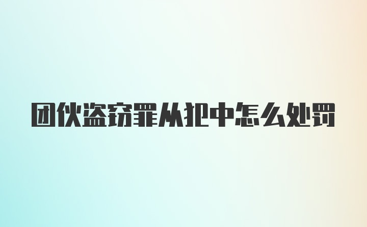 团伙盗窃罪从犯中怎么处罚